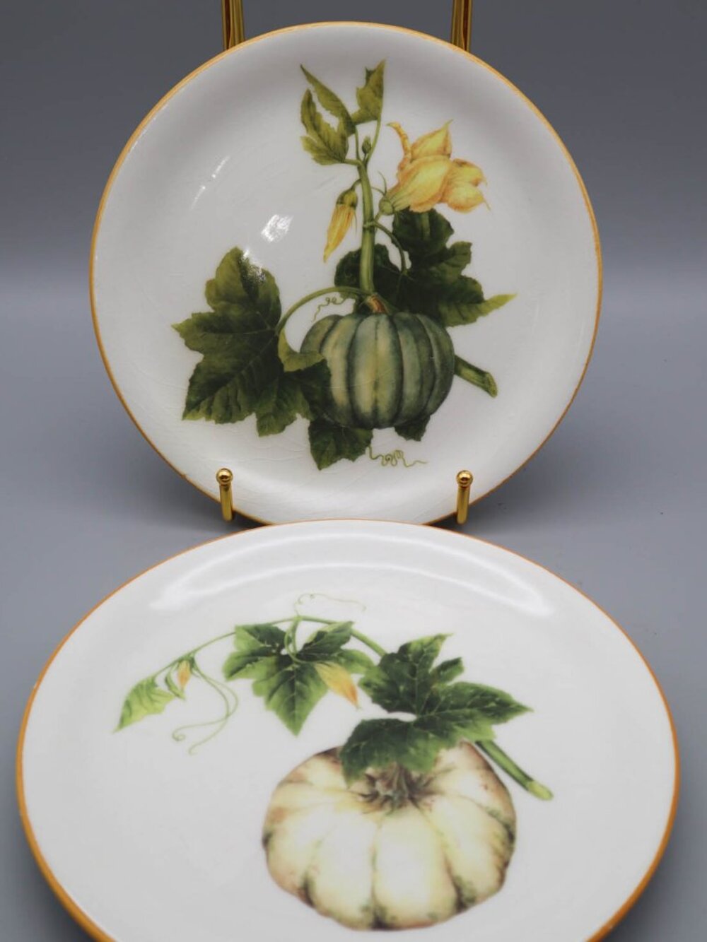 2 Williams-Sonoma Pumpkin Harvest 8 1/2" Salad Plates Italy Botanical Fall Decor
